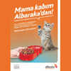 Albaraka Türk’ten sokak kedilerine iyilik hareketi