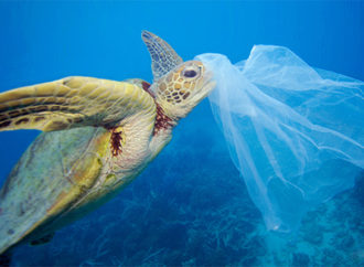 WWF Türkiye’den #PlastikKirliliğeHayır çağrısı
