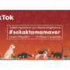 TikTok’tan sessiz dostlarımız için #sokaktamamavar kampanyası