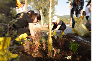 Çevre bilinci kazanmak isteyenlerin mutlaka okuması gereken kitaplar