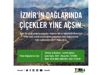 TEMA Vakfı İzmir için fidan bağışlarınızı bekliyor