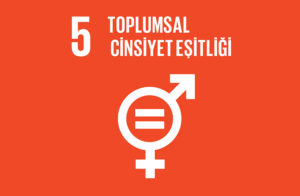 Sürdürülebilir Kalkınma Hedefi #5: Toplumsal Cinsiyet Eşitliği