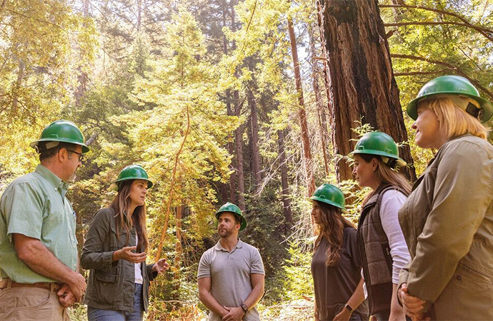 HP ve WWF’den büyük ortaklık