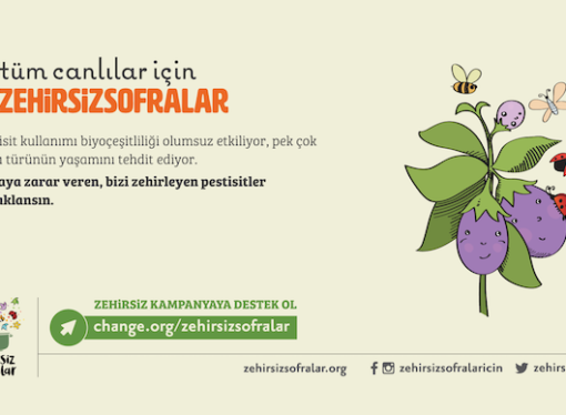 Sağlıklı bir gelecek için Zehirsiz Kampanya başladı