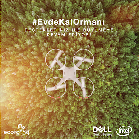 Türkiye’nin ilk EvdeKal Ormanı teknolojiyle kuruluyor