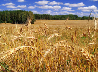 “Toprağımızı korumak için araziye uygun ürün ekimi gerçekleştirmeliyiz”