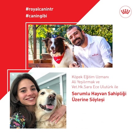 Royal Canin’den köpeklere özel rehber