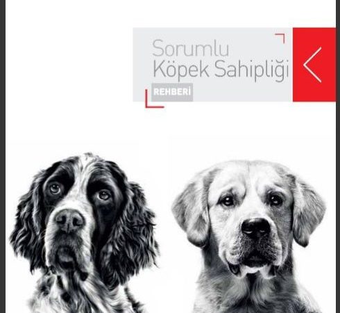 Sorumlu Köpek Sahipliği Rehberi yayımlandı