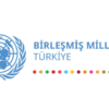 Birleşmiş Milletler Türkiye Ülke Ekibi kadın cinayetlerini kınıyor