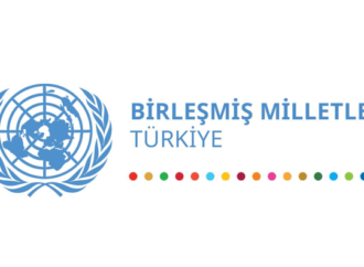 Birleşmiş Milletler Türkiye Ülke Ekibi kadın cinayetlerini kınıyor