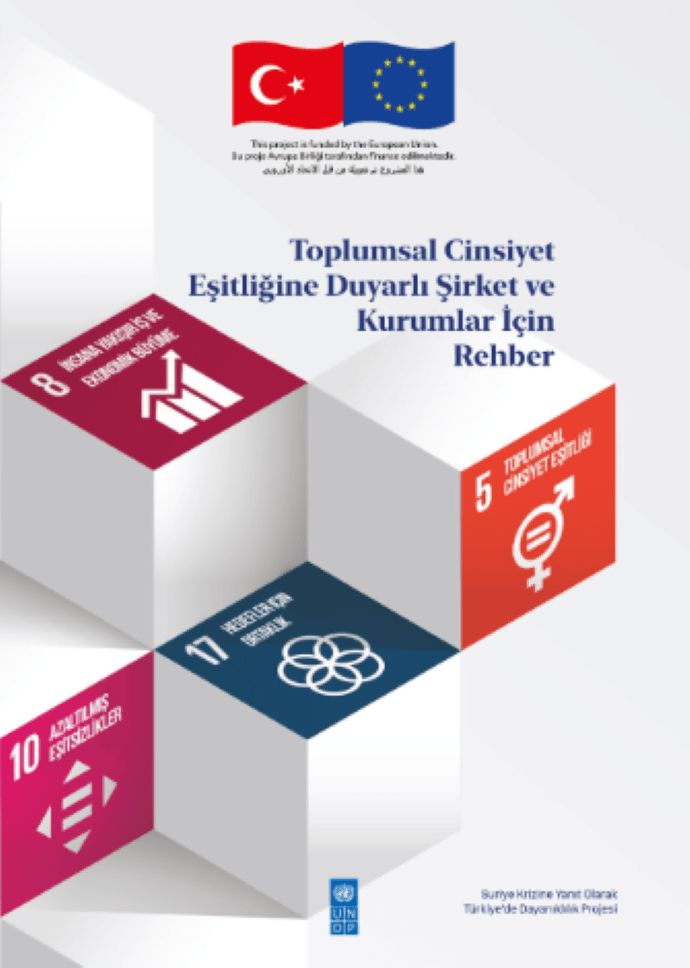 UNDP Türkiye’den toplumsal cinsiyet eşitliği konusunda kurumlara rehber