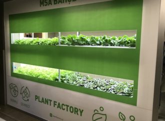 MSA ve Plant Factory dikey tarımda bir ilke imza atıyor