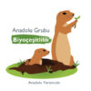 Anadolu Grubu’ndan Anadolu yersincabı biyoçeşitlilik projesi