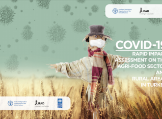 Türkiye’de Tarım-Gıda Sektörü ve Kırsal Kalkınma Alanlarında COVID-19 Hızlı Etki Değerlendirmesi Raporu yayınlandı