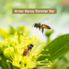 “Arılar Varsa Yarınlar Var”, çocuklara arının önemini anlatmaya devam ediyor
