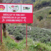 “Her Dem Toprak İçin” projesiyle çayda verim yüzde 38 arttı