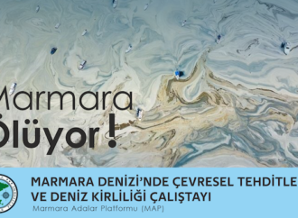 Marmara Denizi’ini sivil insiyatif kurtaracak