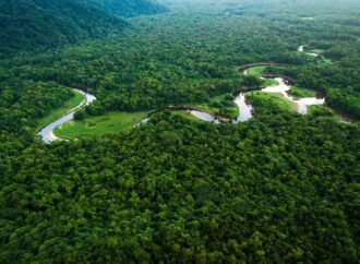 Amazon yağmur ormanlarından geniş bir alan daha eksildi