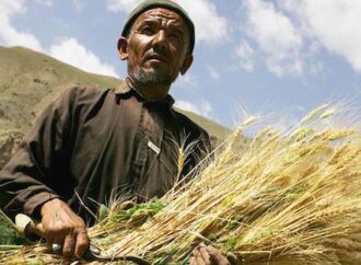 Dünya Bankası Afganistan’da kronikleşen açlığa çare oluyor