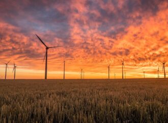 8. Dünya Yeşil Ekonomi Zirvesi temiz enerjiye odaklanıyor