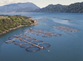 WWF ve Wallmart Vakfı’ndan deniz ürünlerinin sürdürülebilirliğini sağlamak işbirliği