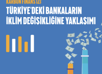 Türkiye’deki bankaların iklim karnesi açıklandı