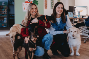 VEGDOG girişimi bitki bazlı çevre dostu mamalara öncülük ediyor