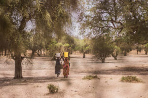 Afrika’nın Sahel bölgesini restore eden 12 eko girişimci