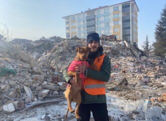 <strong>HAYDİKO deprem bölgesindeki hayvanlara yem desteği için çağrıda bulunuyor </strong>