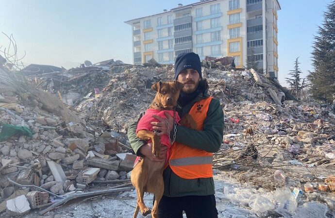 <strong>HAYDİKO deprem bölgesindeki hayvanlara yem desteği için çağrıda bulunuyor </strong>