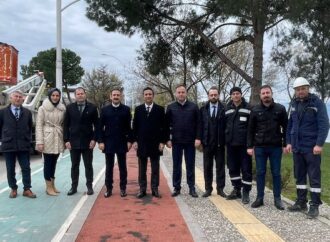 Sokak lambaları kuşların yeni yuvası oldu