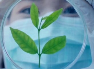 Çin biyoçeşitliliğin korunması amacıyla gen kaynağı bankaları kuruyor