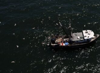 Amerika Birleşik Devletleri denizlerde aşırı avlanmayı önlemeye yönelik anlaşmayı imzaladı