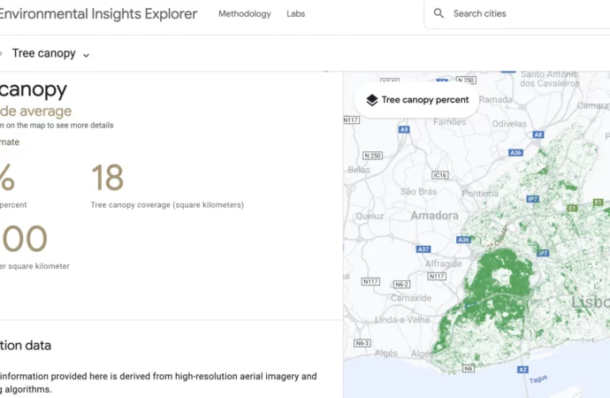 Google’dan şehirler için yapay zeka destekli aşırı sıcaklıkları planlama araçları
