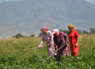 FAO: Gıda ve tarım alanındaki cinsiyet eşitsizliklerinin sektöre olan maliyeti 1 trilyon ABD Doları