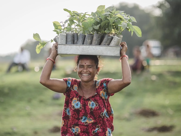 tentree satılan her ürün için 10 ağaç dikiyor