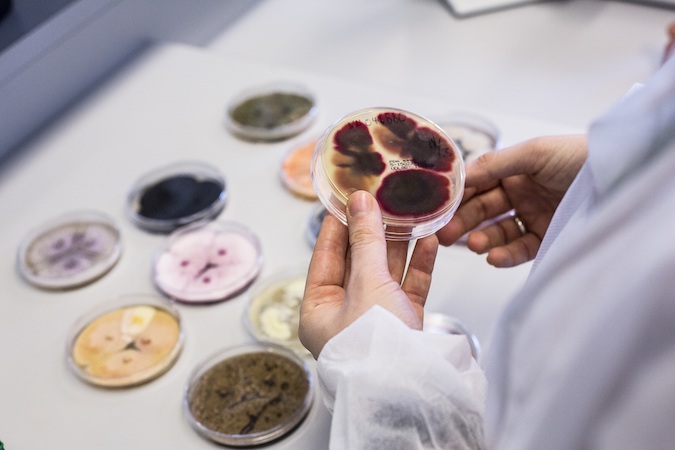 İsraf edilen akşam yemeği iklim krizini tetikliyor 