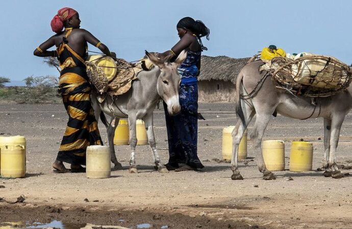 Kadınlar kuraklık ve çölleşmenin yol açtığı tahribattan orantısız şekilde zarar görüyor