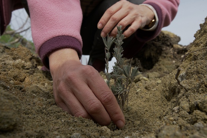 TOÇEV, Payam Ekolojik Badem Köyü Projesi’ne destek bekliyor 