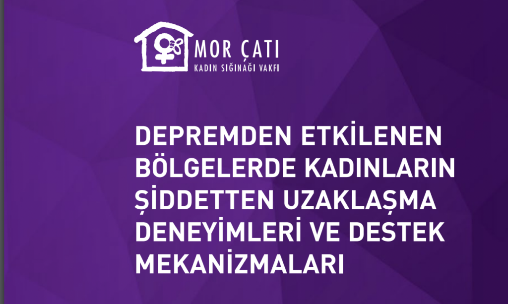 Mor Çatı’dan deprem bölgesinde kadına yönelik şiddete dair rapor 