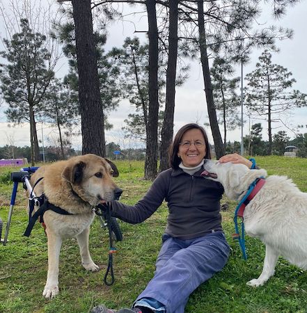 Engelli hayvanlar için kulaç atacak