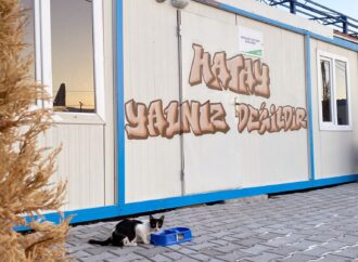 Uludağ Enerji, Hatay Kampüsü’nde sokak hayvanları için proje başlattı