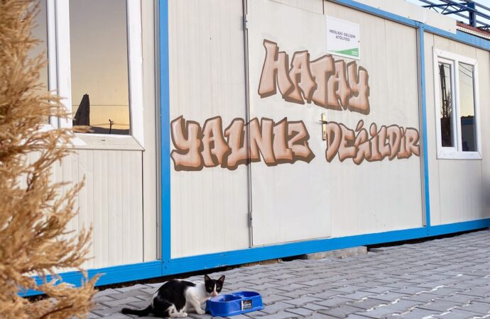 Uludağ Enerji, Hatay Kampüsü’nde sokak hayvanları için proje başlattı