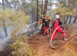 <strong>BAK Kadıköy, yangınla mücadele çalışmaları için Çanakkale’de</strong>
