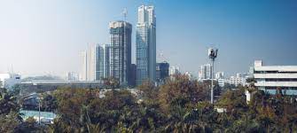 UNEP’den sürdürülebilir kent planlamasına yönelik çevrimiçi kurslar