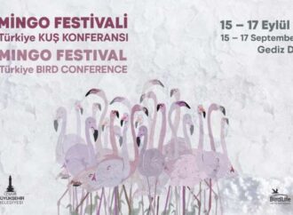 Türkiye’nin ilk Flamingo Festivali İzmir’de gerçekleşiyor