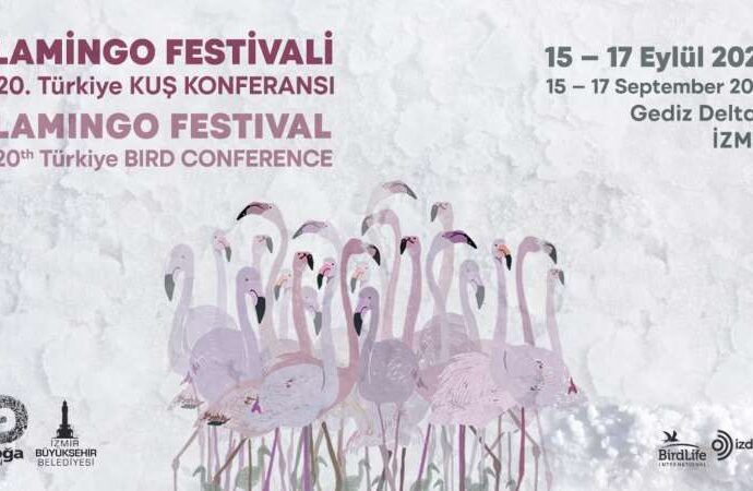 Türkiye’nin ilk Flamingo Festivali İzmir’de gerçekleşiyor