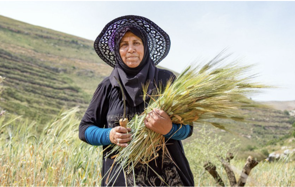 FAO raporu tarımsal gıda sistemlerinin gizli maliyetini ortaya çıkardı