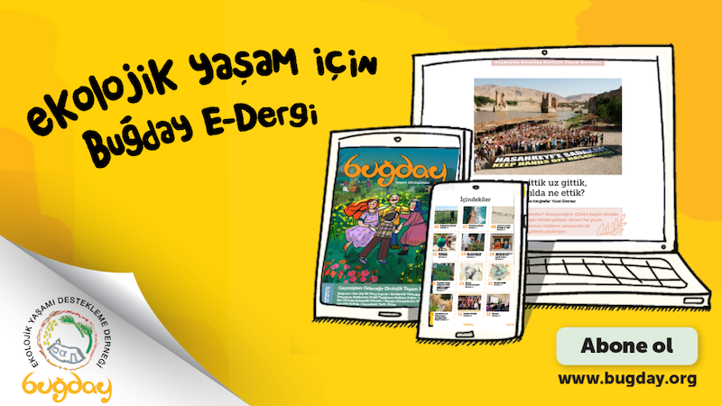 Buğday Derneği Buğday E-Dergi 12. sayı çıktı 