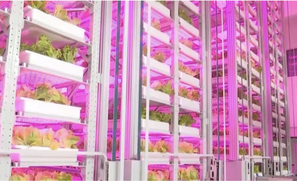 Dünyanın ilk yapay zeka destekli 20 katlı dikey çiftliği